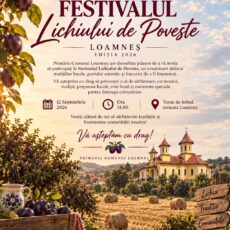 Invitație festival