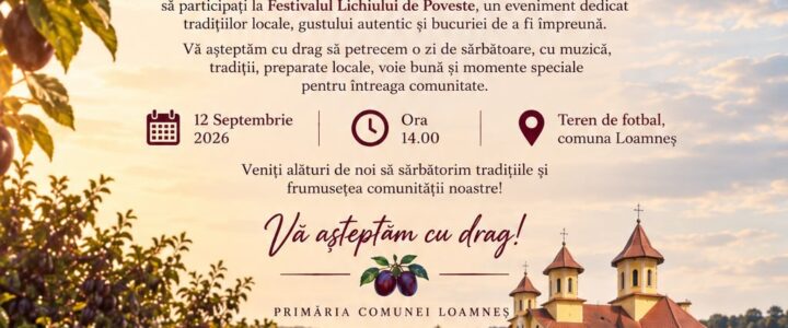 Invitație festival